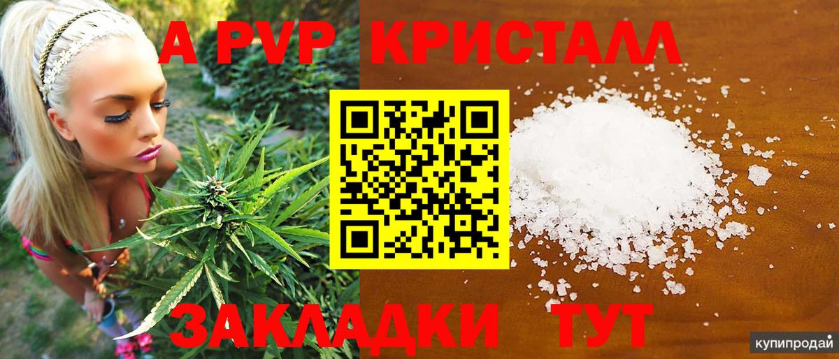 Alpha PVP СК КРИС Минусинск