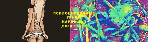 стафф Алзамай