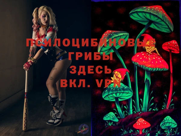 стафф Алзамай