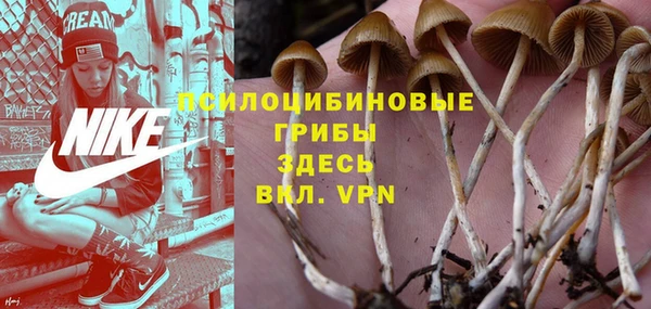первитин Алексин