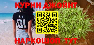 гидра Кимры