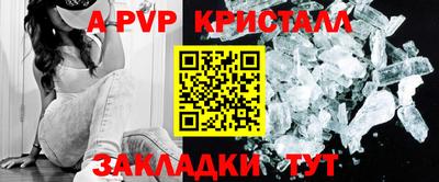 2c-b Кингисепп