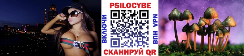 Галлюциногенные грибы Cubensis  где продают   Минусинск 