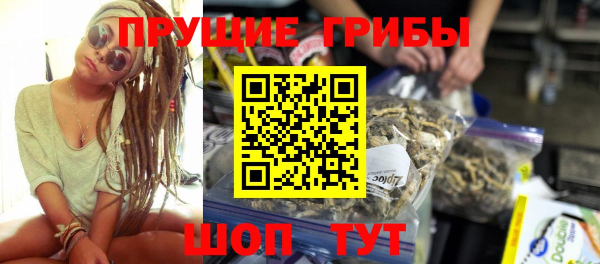 Минусинск  Псилоцибиновые грибы Cubensis  Вход с VPN 